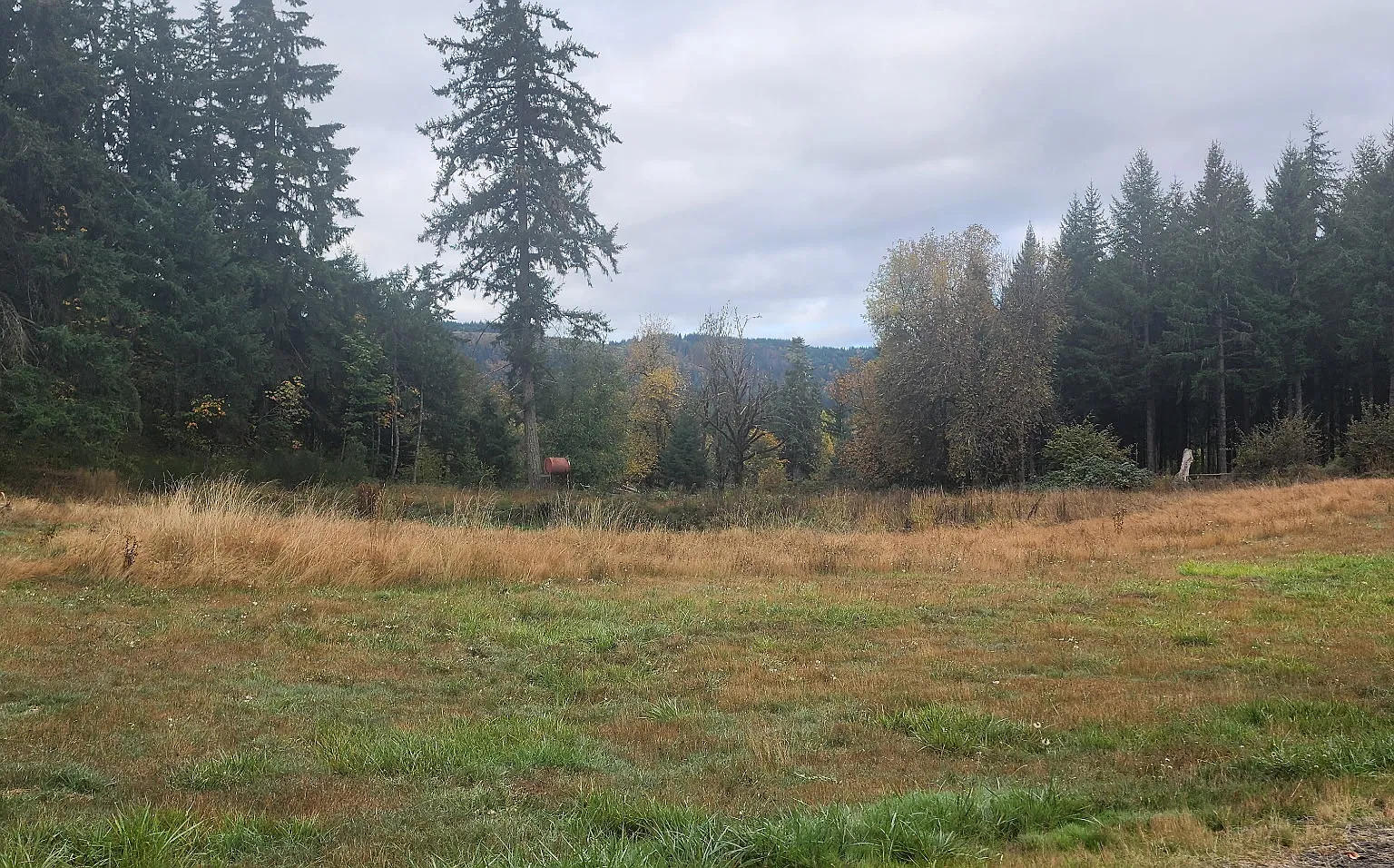 4 bed, 1890 sqft, $2,500 — Photo 4