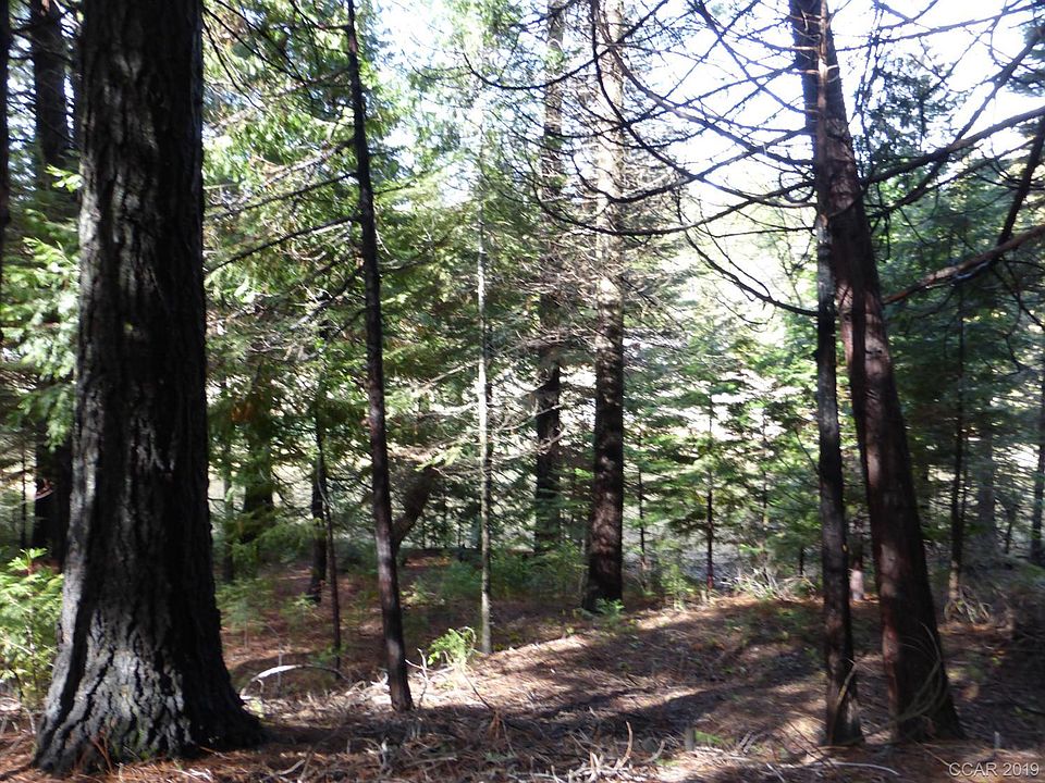 2nd image of 1418 Highway 4 #174/5