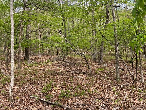 3rd image of 595 Ridgeview Lake Rd