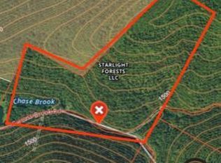 Chase Brook Rd, Walton, NY 13856