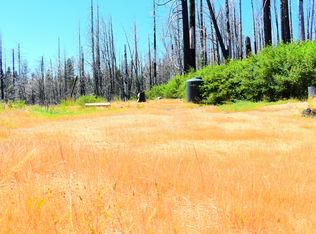 461 Milsap Bar Rd, Berry Creek, CA 95916