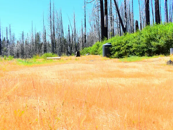 461 Milsap Bar Rd, Berry Creek, CA 95916