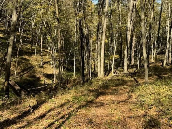 18 Acres MCCARTY ROAD, Readstown, WI 54652