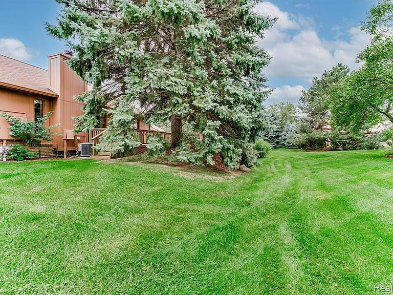 back yard