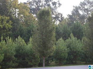 252 Parkview Dr LOT 35, Sylvan Springs, AL 35118