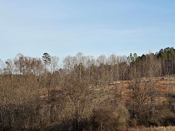 4th image of Vacant Land Pole Running Rd