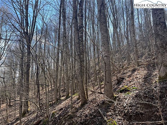 3rd image of TBD Hart Road