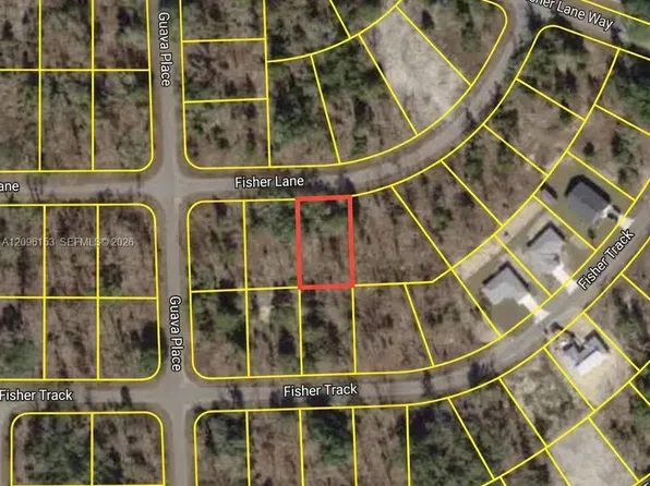 Fisher Ln, Ocklawaha, FL 32179