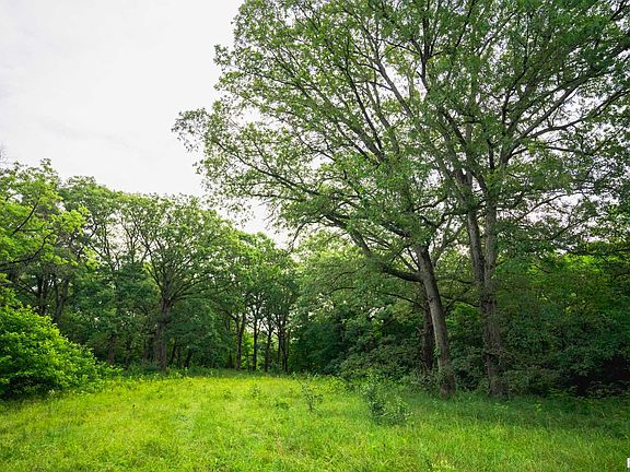 12th image of this home