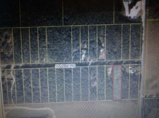 SW Doe Rd, Mayo, FL 32066