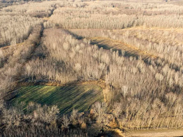 0 Liberty Rd, Augusta, IL 62311