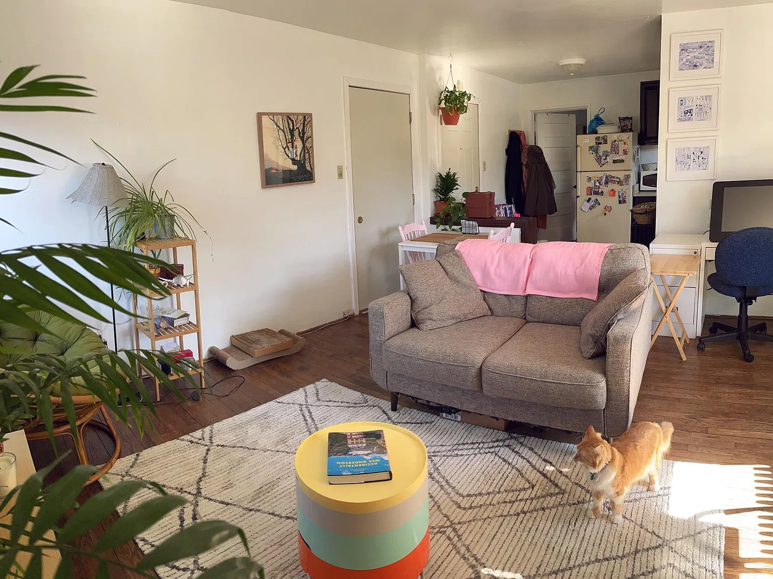 1 bed, $1,335 — Photo 4