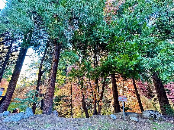 2nd image of 28715 Shenandoah Dr