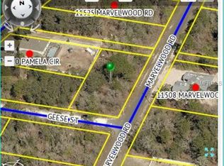 12315 Geese St, Weeki Wachee, FL 34614