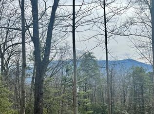 Lots 2 & 3 Carter Plaza Dr, Gatlinburg, TN 37738