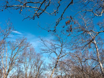 LOT 1F Ashgrove Ln, Nicholasville, KY, 40356