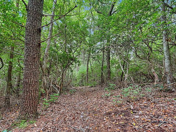 5th image of Fisher Field Rd