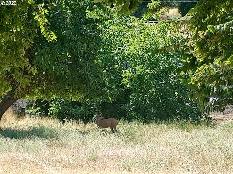 2nd image of Irvine St