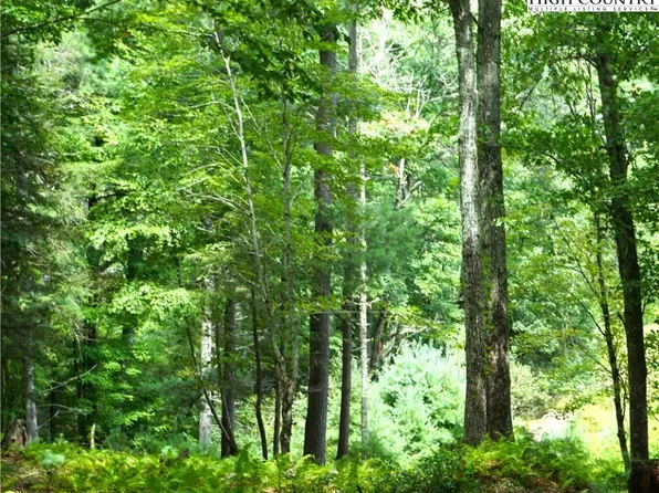 Lot 5 Brookhaven Trail, Jefferson, NC 28640