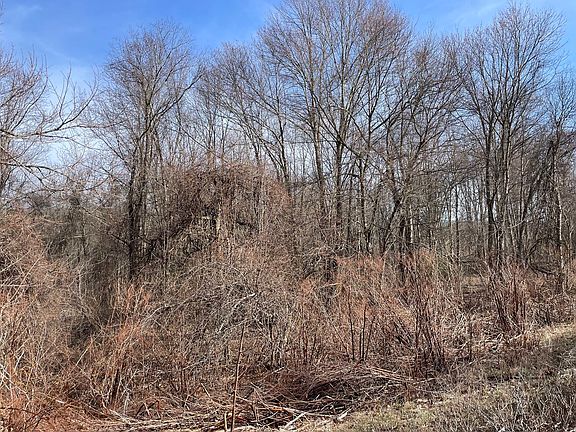 3rd image of 50 Fiskdale Rd
