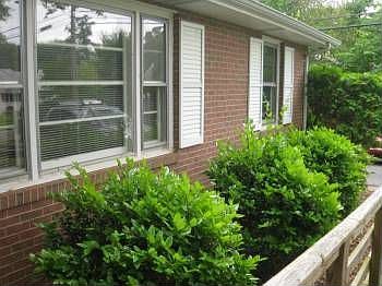 5th image of 9416 Beckham Dr