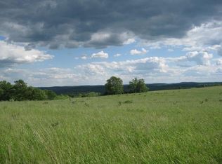 0 Morgan Rd, Addison, NY 14801