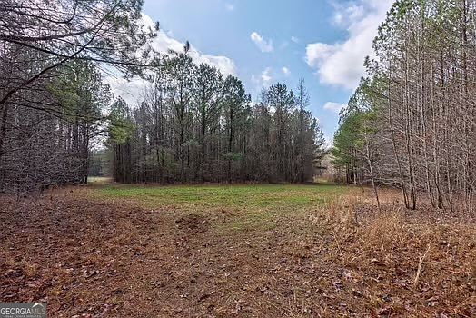 5th image of 0 Double Bridges Rd