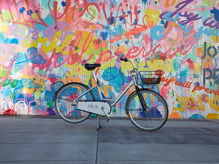 Complimentary Bike rental