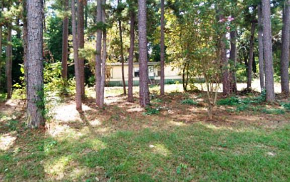 5th image of 20096 Holly Hills Dr