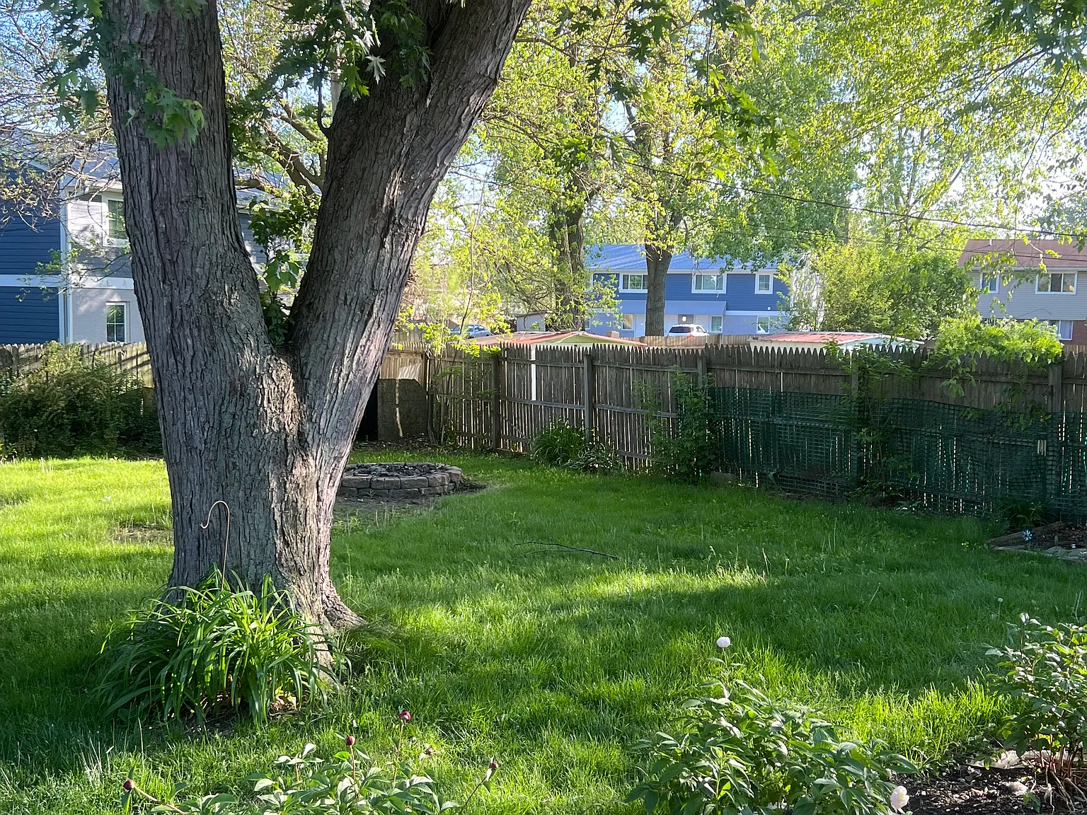 2 bed, 875 sqft, $1,500 — Photo 4