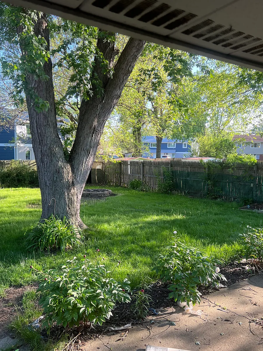 Building Photo - 5607 Tulip Ave
