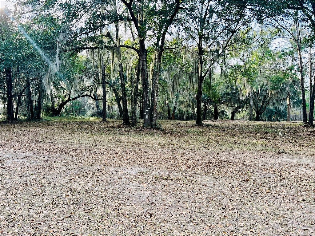 241 Coopers Landing Dr NE, Shellman Bluff, GA 31331 Zillow