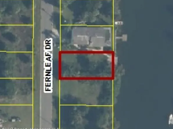 Fernleaf Dr, Hernando Beach, FL 34607