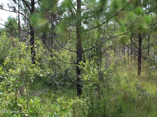 Agricola Latonia Rd, Lucedale, MS 39452