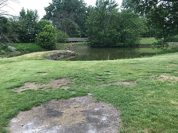 Another photo of the pond