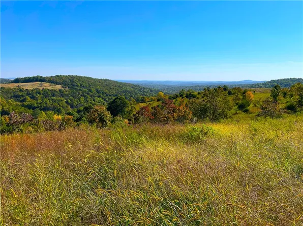 TRACT 4 77 Acres Hwy #5, Gainesville, MO 65655