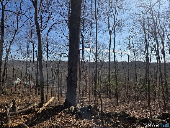 5th image of 0 Green Hollow Road Road