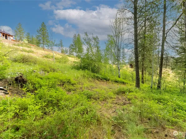57 Sugar Pine Road, Winthrop, WA 98862