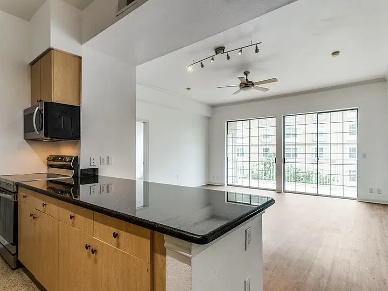 3225 Turtle Creek Blvd #446 — Photo 4