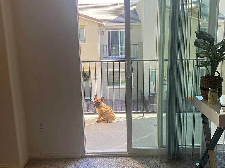 6816 Surf Green Ct — Photo 18