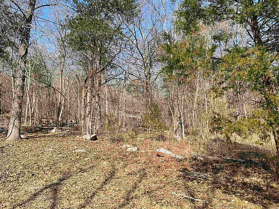 4th image of 0 Peace Mountain Rd