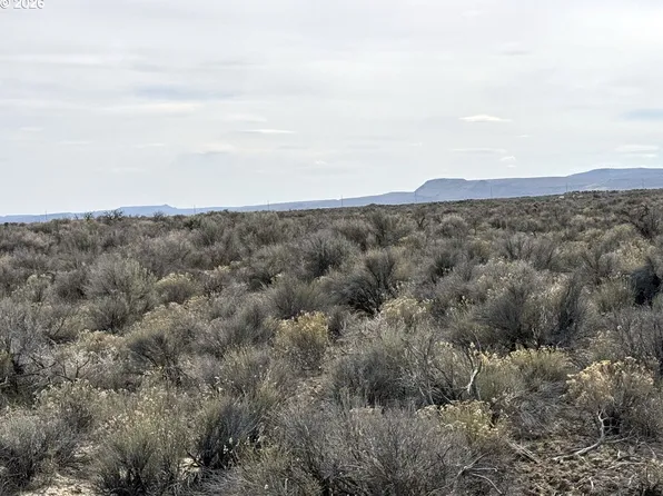 Fossil Lake Rd #100, Christmas Valley, OR 97641