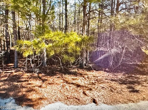 285 Dodge Point Dr Lot 18, Pinetops, NC 27864