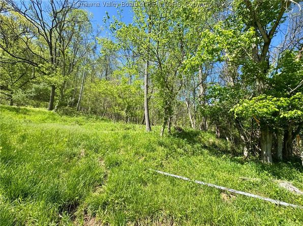 0 Gum St, Eleanor, WV 25070