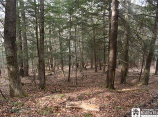 0 Call Hill Rd, Andover, NY 14806