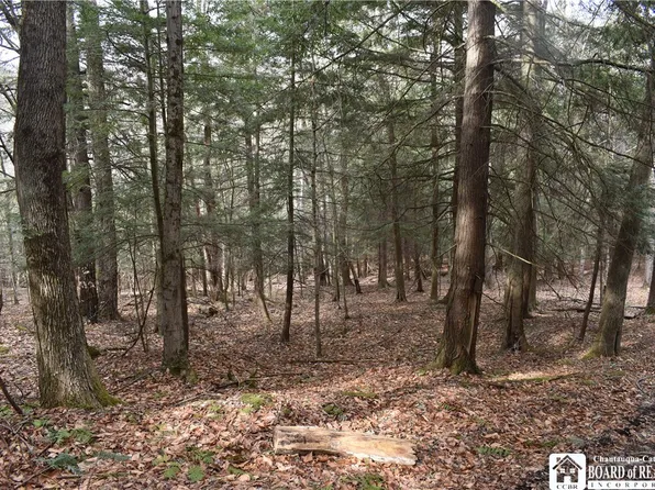 0 Call Hill Rd, Andover, NY 14806