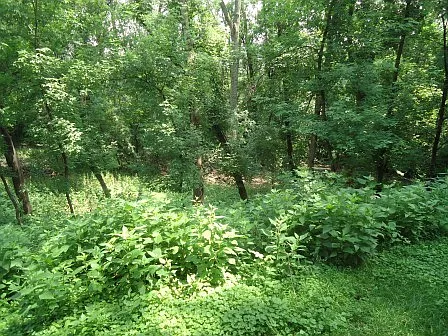7451 Bittersweet Dr — Photo 20
