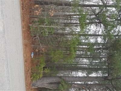 LOT 2 Keelers Mill Rd Lot 2, Dewitt, VA, 23840