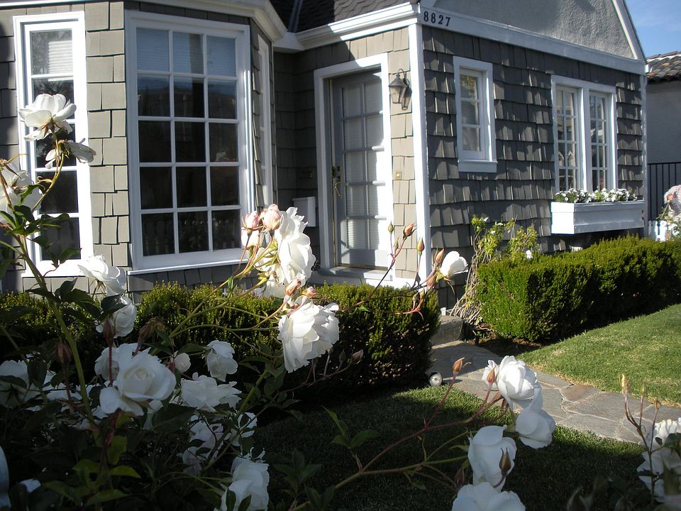 Front door and front yard