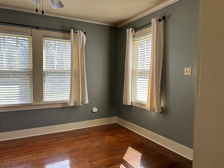 203 1/2 E Gillespie St — Photo 3